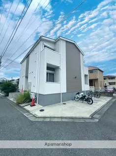 ミネルバの画像