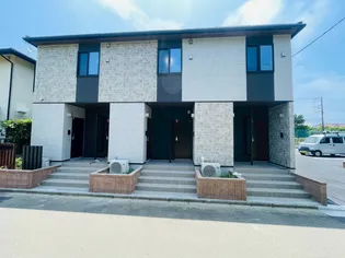 オリーブSTの画像