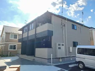 プラシードSの画像