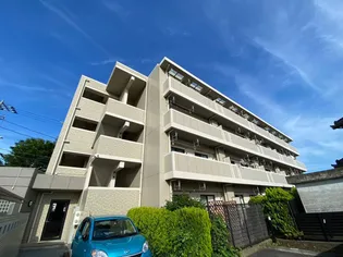 Y'Sシャングリーラの画像