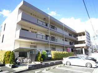 サンセール 辻の画像