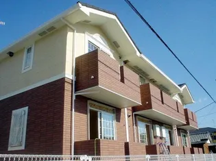 アイリスの画像