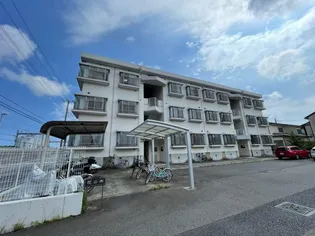 シャンベール花の木の画像