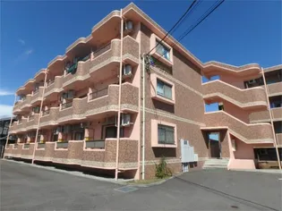 ジャン リールの画像