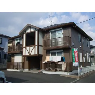 スターライトの画像