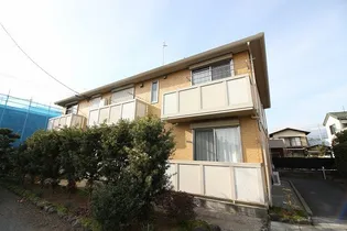 キャメルパティオの画像