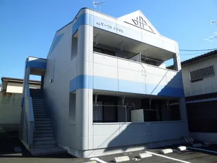 マーガレットSKの画像