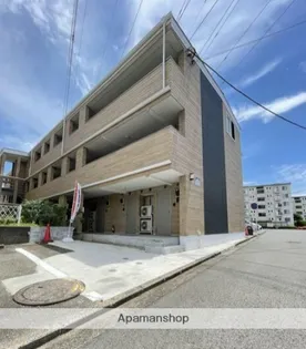 アイビーVの画像