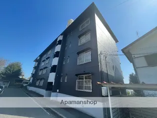 興津ハイツ【3階】の外観