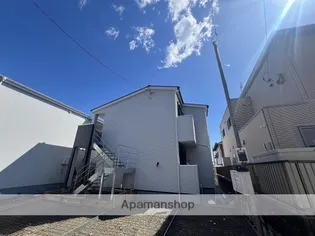 ブラウンナッツの画像