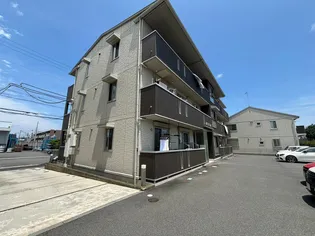 リベラマーロの画像