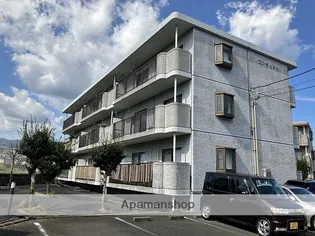 コンチェルトの画像