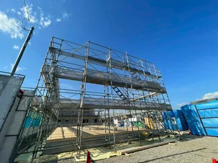 ファンシー ココの画像