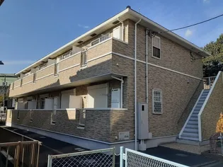 サンガーデン バイオレットの画像