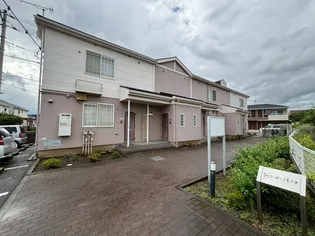 シャン デ ソレイユの画像