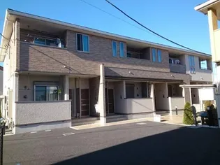 サクラ ノーブルの画像