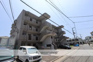 プリムローズの画像