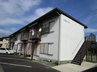 文命ハイツ【1階】の外観