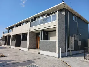 アムールCの画像