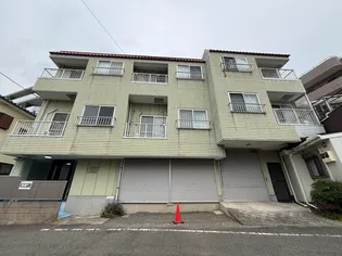 ゼフィルス花の木の画像