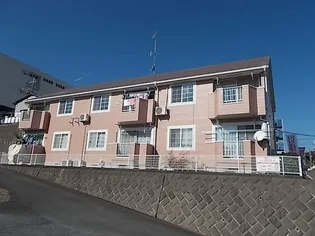 コモドカーサの画像