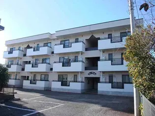 ラ フィーネの画像