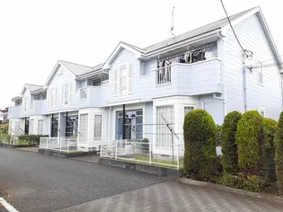 ミレニアム Tの画像