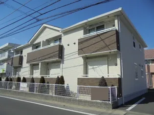 プラシードの画像