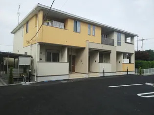 サクラ ノーブルの画像