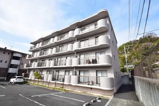 ベルヴェデーレIIの画像