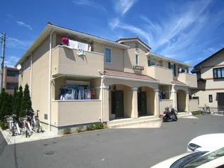 エリーゼの画像