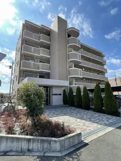 ルミエールの画像