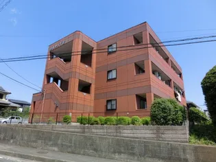 スピッツの画像