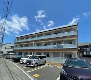 リブリ ポピーの画像