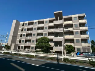 シグナス湘南の画像