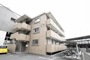 サン パーシモンの画像