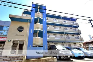 セレステディオーサの画像