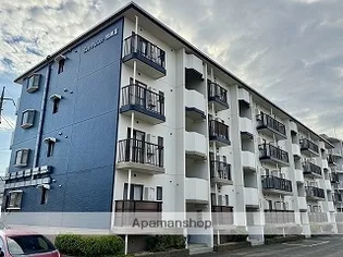 サンパレス湘南IIIの画像