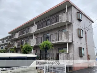 シンフォニアの画像