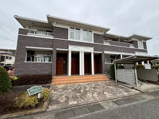 プラシード Mの画像