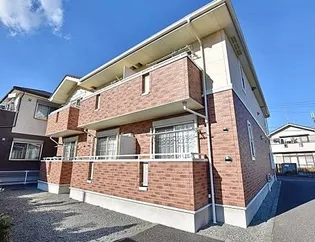 プラシードKの画像