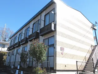 レオパレスファレノプチスの画像