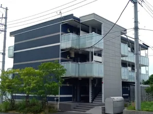 レオネクストレジーナIIIの画像