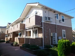 ベリーリーフIIの画像