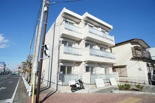 リブリ フォルシアの画像