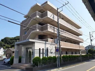 パール シェル鎌倉の画像