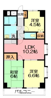 ヴェルドミール湘南平塚【5階】の間取り
