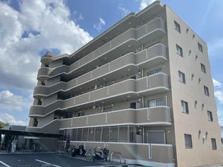 ルミエールの画像