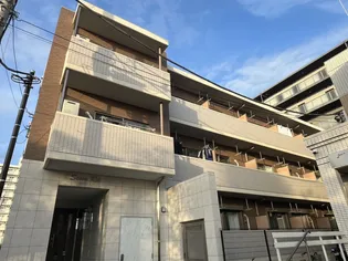 セソンルイの画像