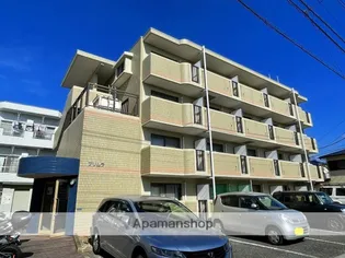 プリムラの画像